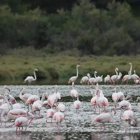 Authentic Fisherman's House Maison De Pecheur Authentique בית נופש *