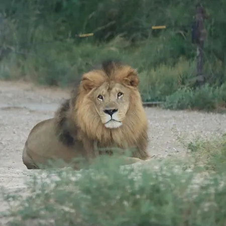Authentic Fisherman's House Maison De Pecheur Authentique בית נופש *