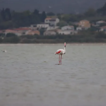 Authentic Fisherman's House Maison De Pecheur Authentique בית נופש