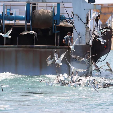 Authentic Fisherman's House Maison De Pecheur Authentique Dom wakacyjny